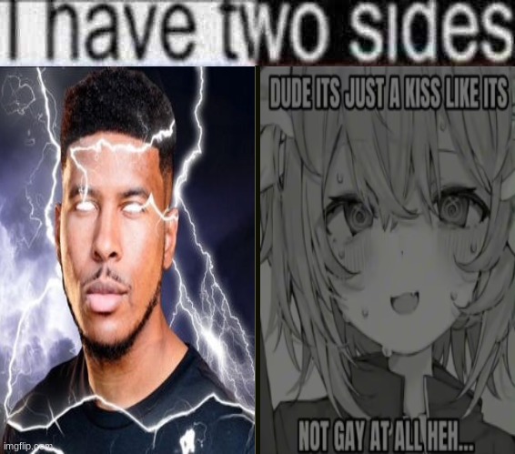 I have 2 sides | image tagged in i have 2 sides | made w/ Imgflip meme maker