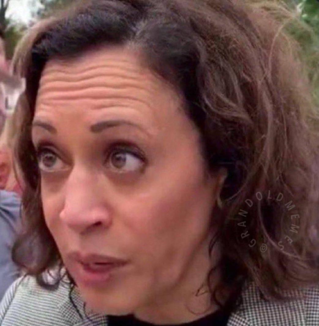 Kamala Wasserman Schultz Blank Meme Template