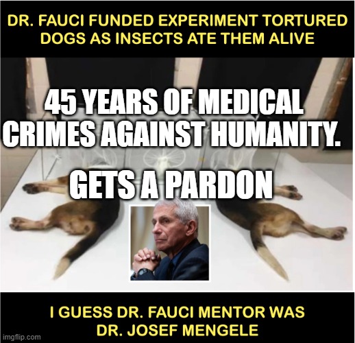 Fauci torturing dogs | 45 YEARS OF MEDICAL CRIMES AGAINST HUMANITY. GETS A PARDON | image tagged in fauci torturing dogs | made w/ Imgflip meme maker