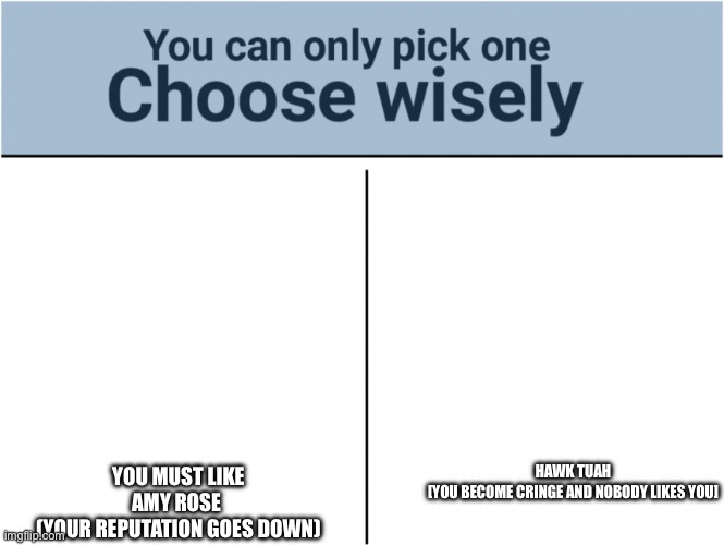 you can pick only one choose wisely | HAWK TUAH
[YOU BECOME CRINGE AND NOBODY LIKES YOU] YOU MUST LIKE AMY ROSE 
(YOUR REPUTATION GOES DOWN) | image tagged in you can pick only one choose wisely | made w/ Imgflip meme maker