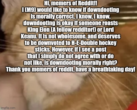 cat mewing | Hi, memers of Reddit!! I (M9) would like to know if downdooting is morally correct. I know, I know, downdooting is okay if someone roasts King Elon (A fellow redditor!) or Lord Keanu. It is not wholesome, and deserves to be downvoted to H-E-Double hockey sticks. However, if I see a post that I simply do not agree with or do not like, is downdooting morally right? Thank you memers of reddit, have a breathtaking day! | image tagged in cat mewing | made w/ Imgflip meme maker