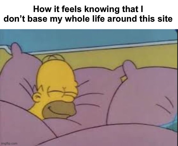 No like fr, don’t base your whole life or time in this site it ruins you. | How it feels knowing that I don’t base my whole life around this site | image tagged in how i sleep homer simpson | made w/ Imgflip meme maker