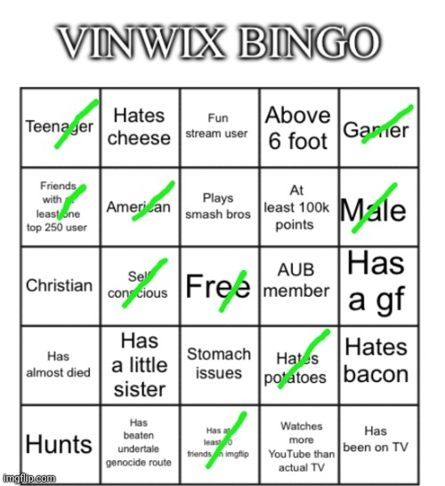 VinWix bingo | image tagged in vinwix bingo | made w/ Imgflip meme maker