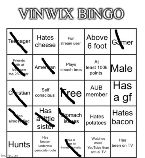 VinWix bingo | image tagged in vinwix bingo | made w/ Imgflip meme maker