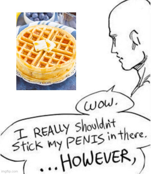I shouldn’t really stick my penis | image tagged in i shouldn t really stick my penis | made w/ Imgflip meme maker