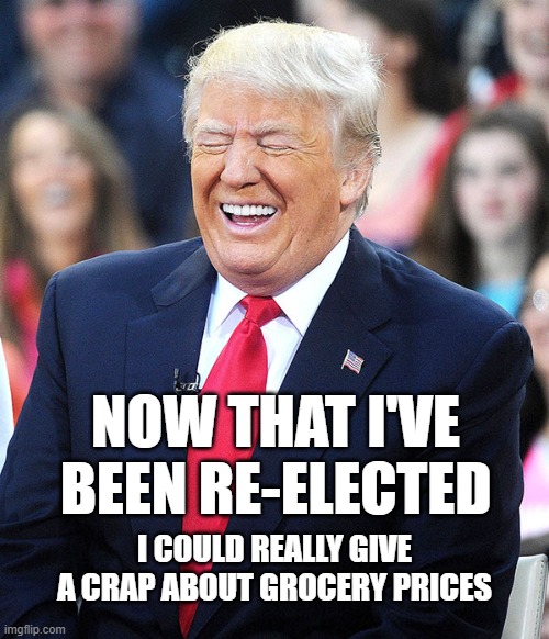 NOW THAT I'VE BEEN RE-ELECTED; I COULD REALLY GIVE A CRAP ABOUT GROCERY PRICES | image tagged in trump,economy | made w/ Imgflip meme maker