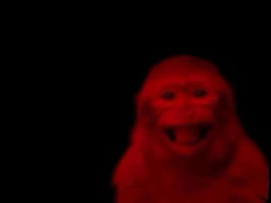 High Quality THE RED MONKEY Blank Meme Template