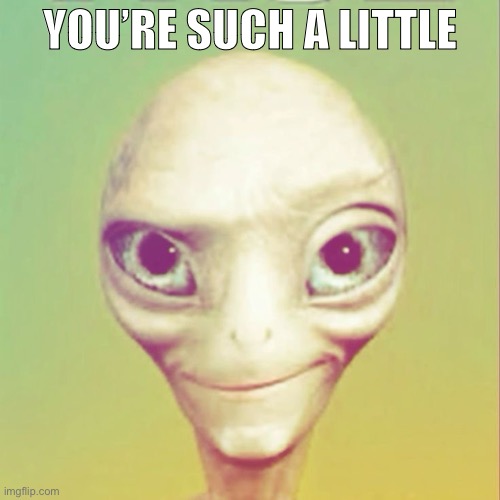 Y’uore | YOU’RE SUCH A LITTLE | image tagged in freaky ahh alien | made w/ Imgflip meme maker