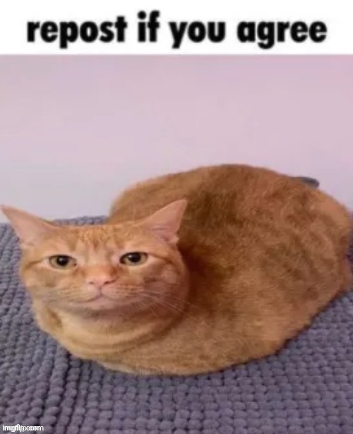 repost if you agree | image tagged in repost if you agree | made w/ Imgflip meme maker