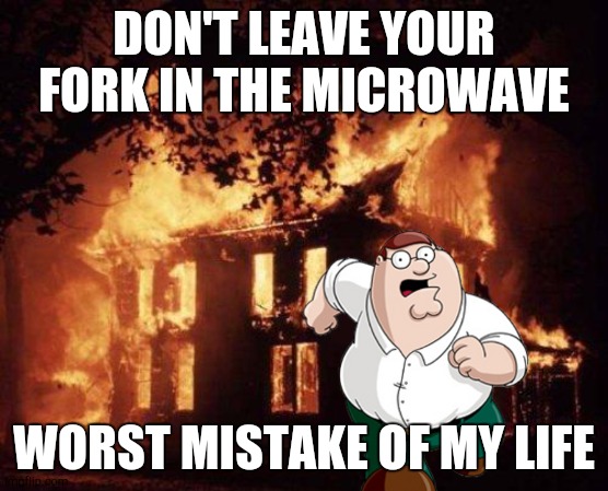 Used in Comment | DON'T LEAVE YOUR FORK IN THE MICROWAVE WORST MISTAKE OF MY LIFE | image tagged in burning house,worst mistake of my life | made w/ Imgflip meme maker