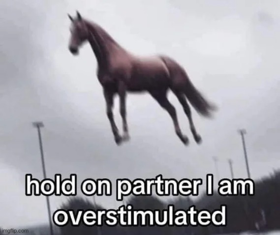 Hold on partner I am overstimulated | image tagged in hold on partner i am overstimulated | made w/ Imgflip meme maker