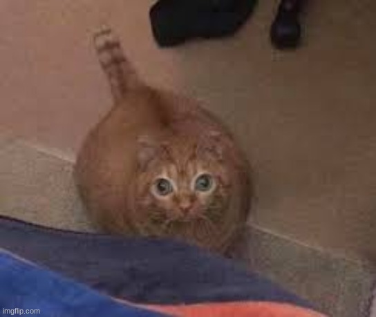 hypercasual | made w/ Imgflip meme maker