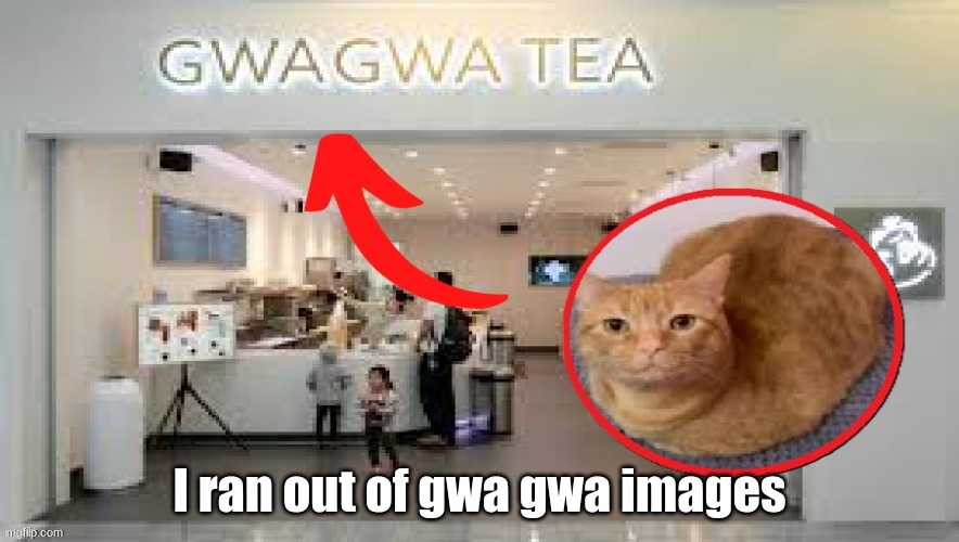 Gwa Gwa Tea | I ran out of gwa gwa images | image tagged in gwa gwa tea | made w/ Imgflip meme maker