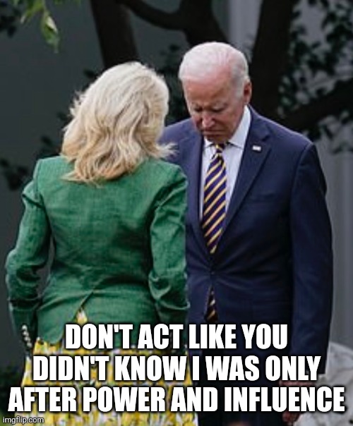 Jill Biden makes Joe Biden sad | DON'T ACT LIKE YOU DIDN'T KNOW I WAS ONLY AFTER POWER AND INFLUENCE | image tagged in jill biden makes joe biden sad | made w/ Imgflip meme maker