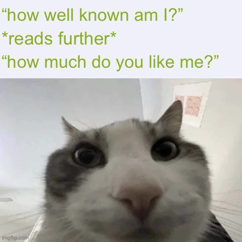 green text cat | “how well known am I?”; *reads further*; “how much do you like me?” | image tagged in green text cat | made w/ Imgflip meme maker