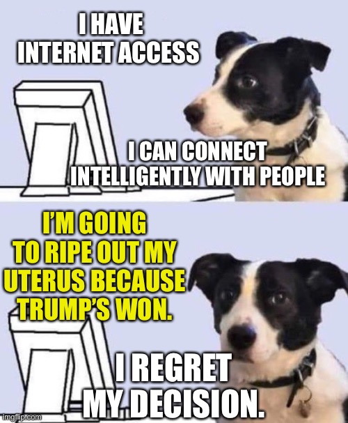 Juxtaposed Opinions | I HAVE INTERNET ACCESS; I CAN CONNECT INTELLIGENTLY WITH PEOPLE; I’M GOING TO RIPE OUT MY UTERUS BECAUSE TRUMP’S WON. I REGRET MY DECISION. | image tagged in good lord dog | made w/ Imgflip meme maker