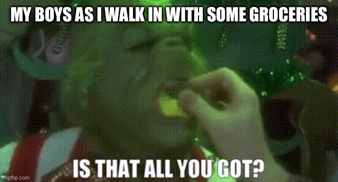 My Boys when I walk in with Groceries | MY BOYS AS I WALK IN WITH SOME GROCERIES | image tagged in the grinch | made w/ Imgflip meme maker