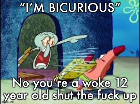 User named after Animaniacs show character reference | “I’M BICURIOUS”; No you’re a woke 12 year old shut the fuck up | image tagged in squidward yelling | made w/ Imgflip meme maker