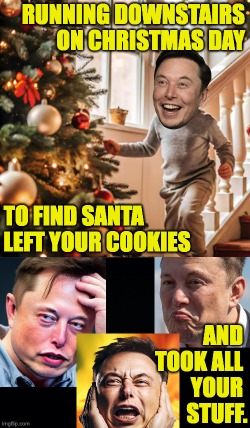 Never tell the mall Santa all the stuff you already have. | RUNNING DOWNSTAIRS
ON CHRISTMAS DAY; TO FIND SANTA LEFT YOUR COOKIES; AND 
TOOK ALL 
YOUR 
STUFF. | image tagged in memes,merry christmas,elon musk | made w/ Imgflip meme maker