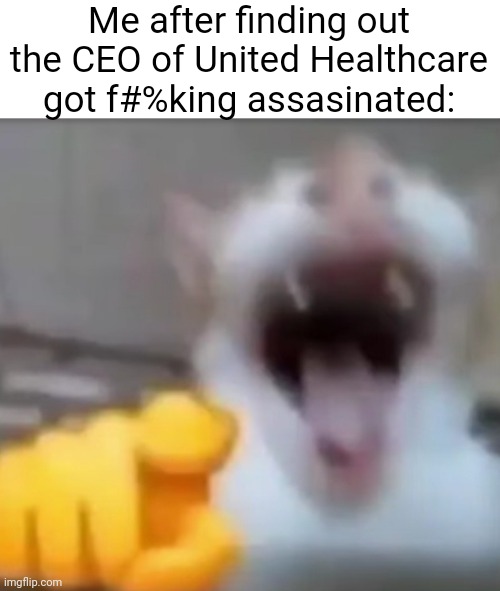 Would like your opinions on this | Me after finding out the CEO of United Healthcare got f#%king assasinated: | image tagged in cat pointing and laughing,lol,insurance | made w/ Imgflip meme maker