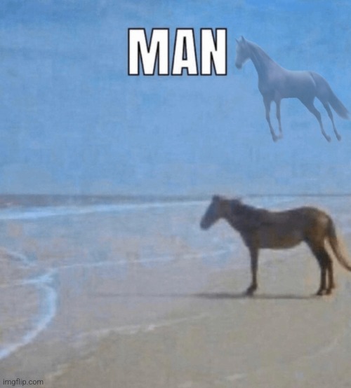 Horse man | image tagged in horse man | made w/ Imgflip meme maker