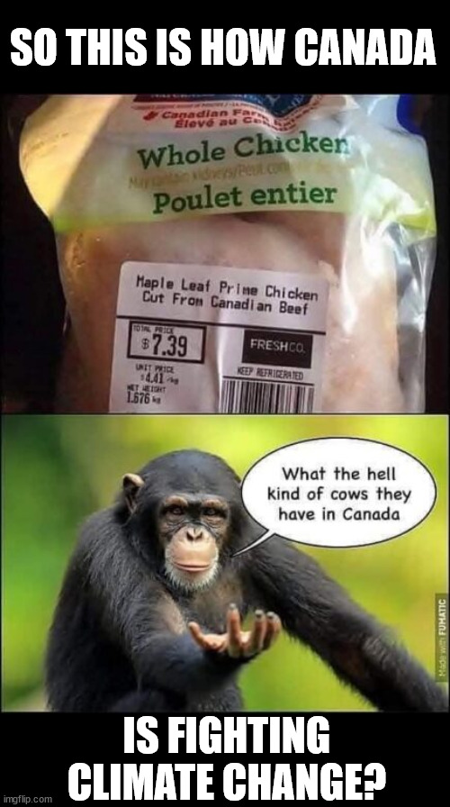 Just say beef tastes like chicken... they'll never notice... heh? | SO THIS IS HOW CANADA; IS FIGHTING CLIMATE CHANGE? | image tagged in canada,fights climate change,weird,taste | made w/ Imgflip meme maker