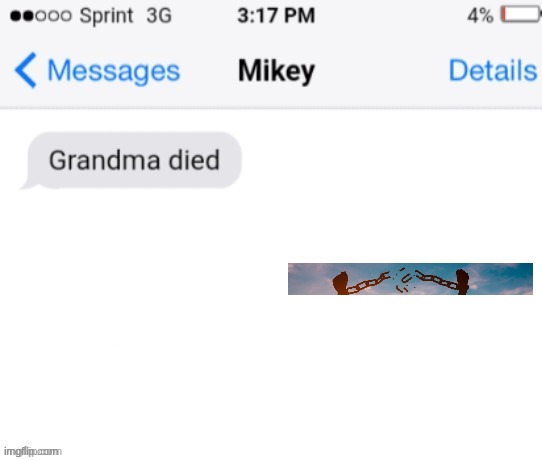 grandma died (add your reaction image) | image tagged in grandma died add your reaction image | made w/ Imgflip meme maker