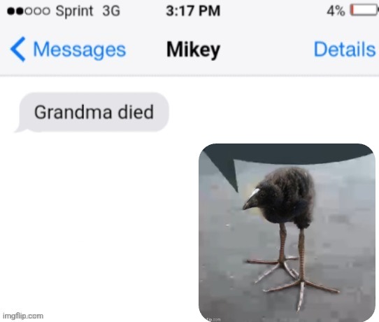 grandma died (add your reaction image) | image tagged in grandma died add your reaction image | made w/ Imgflip meme maker
