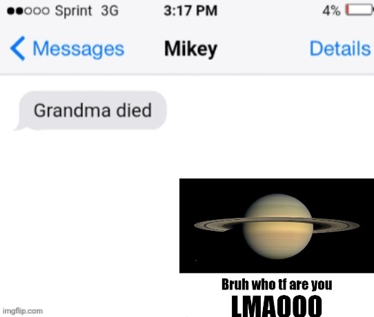 Who tf is Mikey | image tagged in grandma died add your reaction image,memes,msmg,who are you | made w/ Imgflip meme maker