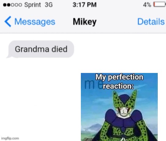 My Perfect reaction | image tagged in grandma died add your reaction image | made w/ Imgflip meme maker