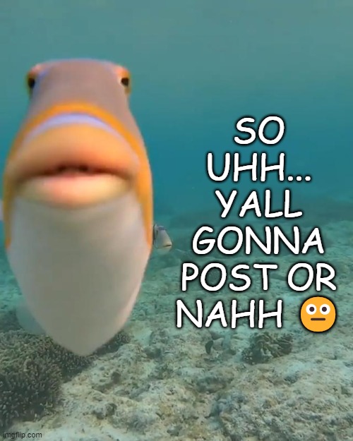 Dead stream question mark ??? | SO UHH... YALL GONNA POST OR NAHH 😐 | image tagged in staring fish | made w/ Imgflip meme maker