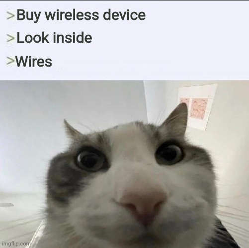 Cat looks inside | Buy wireless device; Look inside; Wires | image tagged in cat looks inside | made w/ Imgflip meme maker