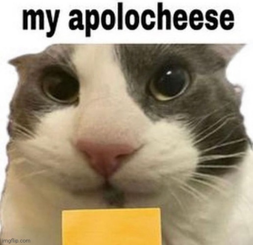 My apolocheese | image tagged in my apolocheese | made w/ Imgflip meme maker