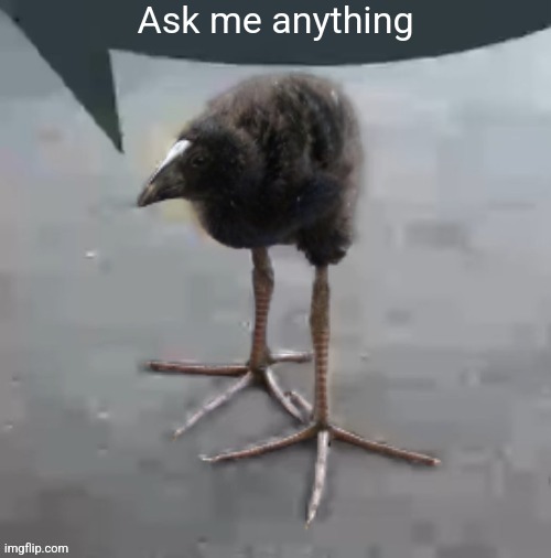 Wah wah wah wah wah wah wah wah | Ask me anything | image tagged in wah wah wah wah wah wah wah wah | made w/ Imgflip meme maker