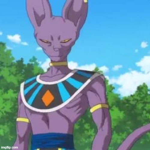 Lord Beerus | image tagged in lord beerus | made w/ Imgflip meme maker