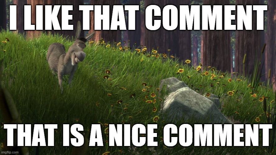 Donkey from Shrek I like that boulder | I LIKE THAT COMMENT THAT IS A NICE COMMENT | image tagged in donkey from shrek i like that boulder | made w/ Imgflip meme maker