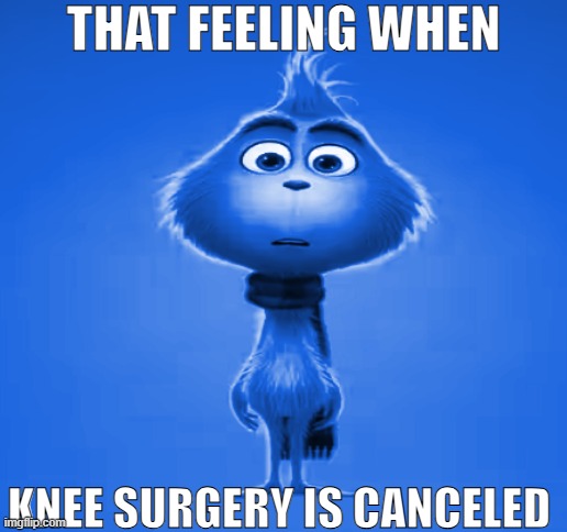 blue grinch | THAT FEELING WHEN; KNEE SURGERY IS CANCELED | image tagged in that feeling when surgery was | made w/ Imgflip meme maker