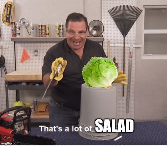 thats a lot of damage | SALAD | image tagged in thats a lot of damage | made w/ Imgflip meme maker