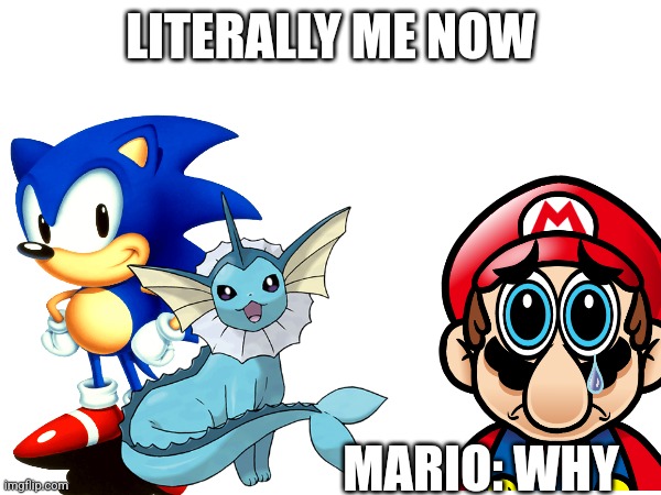 Heh i now play Pokemon and Sonic The Hedgehog (Forget Mario) | LITERALLY ME NOW; MARIO: WHY | image tagged in sonic,pokemon,mario | made w/ Imgflip meme maker