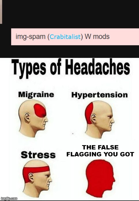 THE FALSE FLAGGING YOU GOT | image tagged in types of headaches meme | made w/ Imgflip meme maker