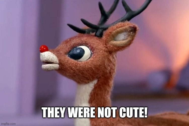 Angry Rudolph | THEY WERE NOT CUTE! | image tagged in angry rudolph | made w/ Imgflip meme maker