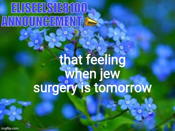 EliseElsie8100 Announcement | that feeling when jew surgery is tomorrow | image tagged in eliseelsie8100 announcement | made w/ Imgflip meme maker