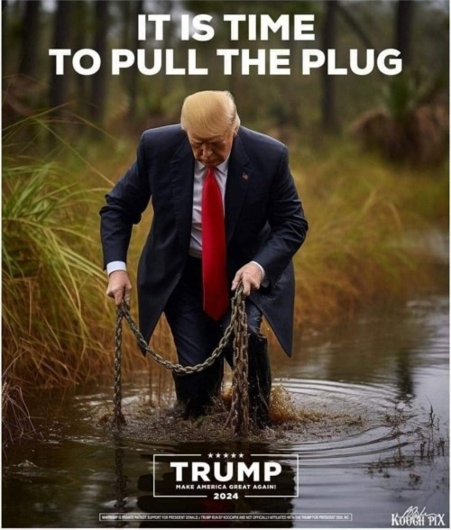 It's Time To Pull The Plug | image tagged in it's time to pull the plug | made w/ Imgflip meme maker