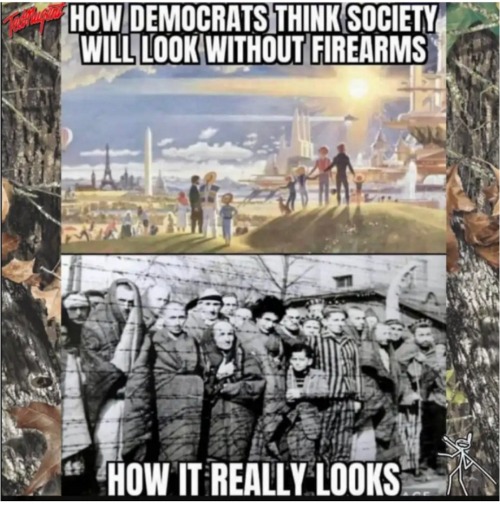 How Demotards Think Society Will Look Without Guns | image tagged in how demotards think society will look without guns | made w/ Imgflip meme maker