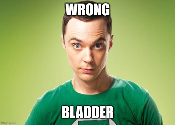 Sheldon Cooper | WRONG BLADDER | image tagged in sheldon cooper | made w/ Imgflip meme maker