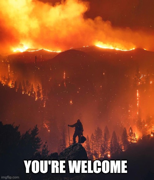 California wildfire | YOU'RE WELCOME | image tagged in california wildfire | made w/ Imgflip meme maker