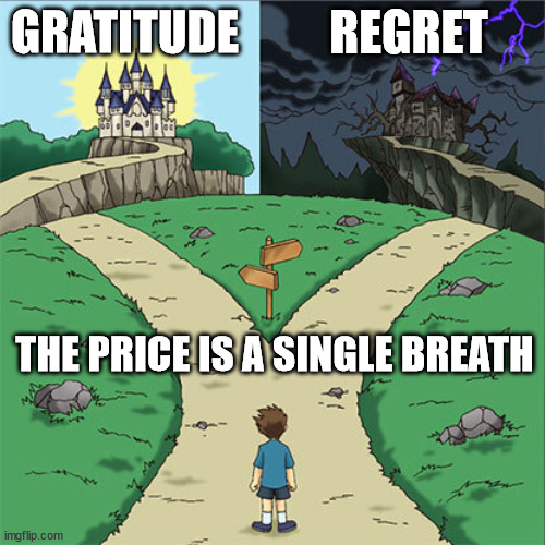 Gratitude or Regret | REGRET; GRATITUDE; THE PRICE IS A SINGLE BREATH | image tagged in which way | made w/ Imgflip meme maker