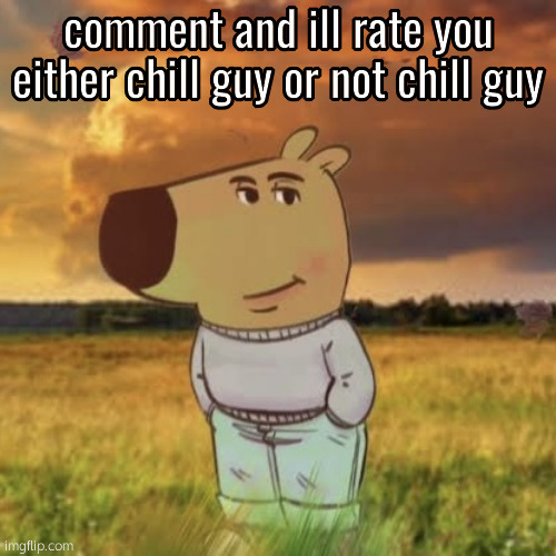 Chill guy | comment and ill rate you either chill guy or not chill guy | image tagged in chill guy | made w/ Imgflip meme maker