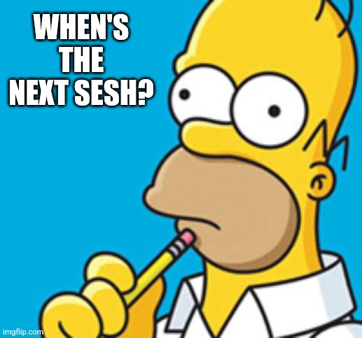 Homer Simpson thinking | WHEN'S THE NEXT SESH? | image tagged in homer simpson thinking,memes | made w/ Imgflip meme maker