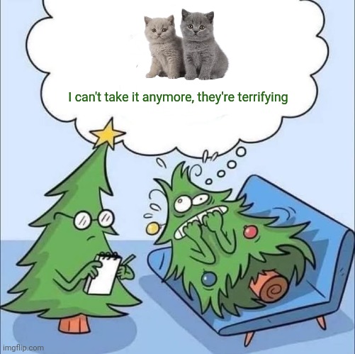 Meet the 'Executioners' of Christmas trees. | I can't take it anymore, they're terrifying | image tagged in memes,cats,christmas tree | made w/ Imgflip meme maker